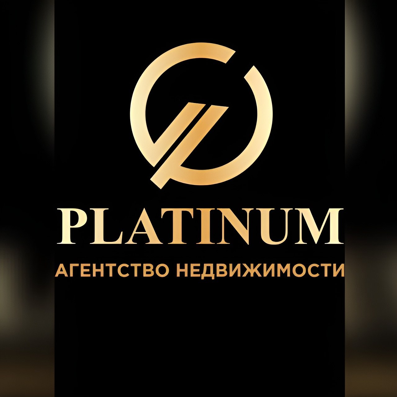 Агентство недвижимости "PLATINUM" (ИП Гареева Раиля Разифовна)