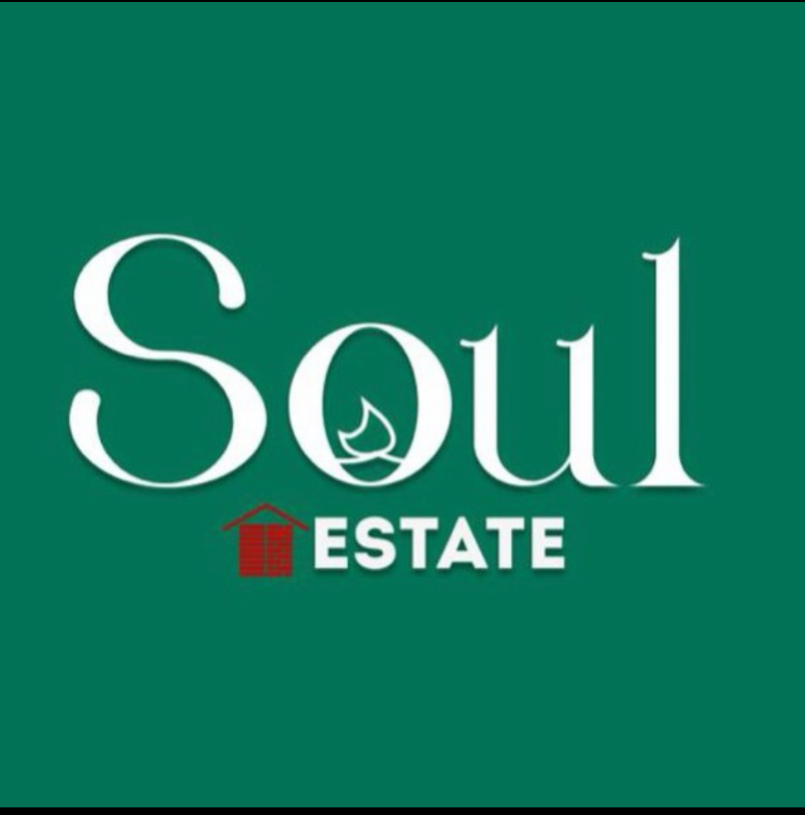 Агентство недвижимости "SOUL ESTATE" (ИП Гатауллина Эльмира Якубовна)